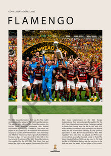 Flamengo Campeón Copa Libertadores 2022 - detalle del diseño