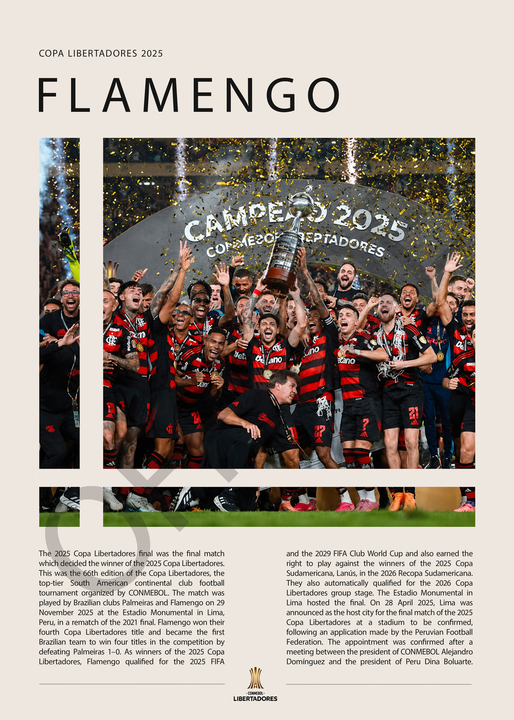 Flamengo Campeón Copa Libertadores 2025 - detalle del diseño