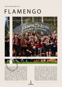 Flamengo Campeón Copa Libertadores 2025 - detalle del diseño