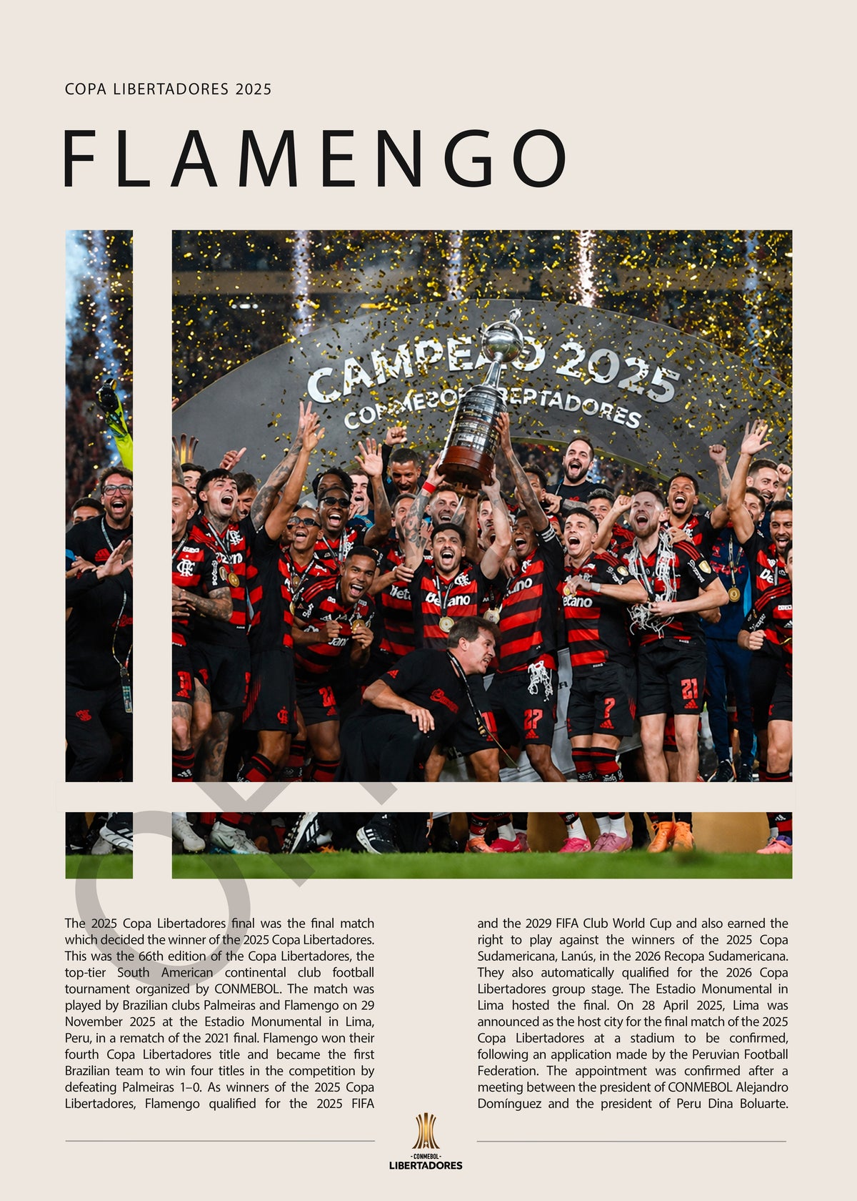 Flamengo Campeón Copa Libertadores 2025 - detalle del diseño