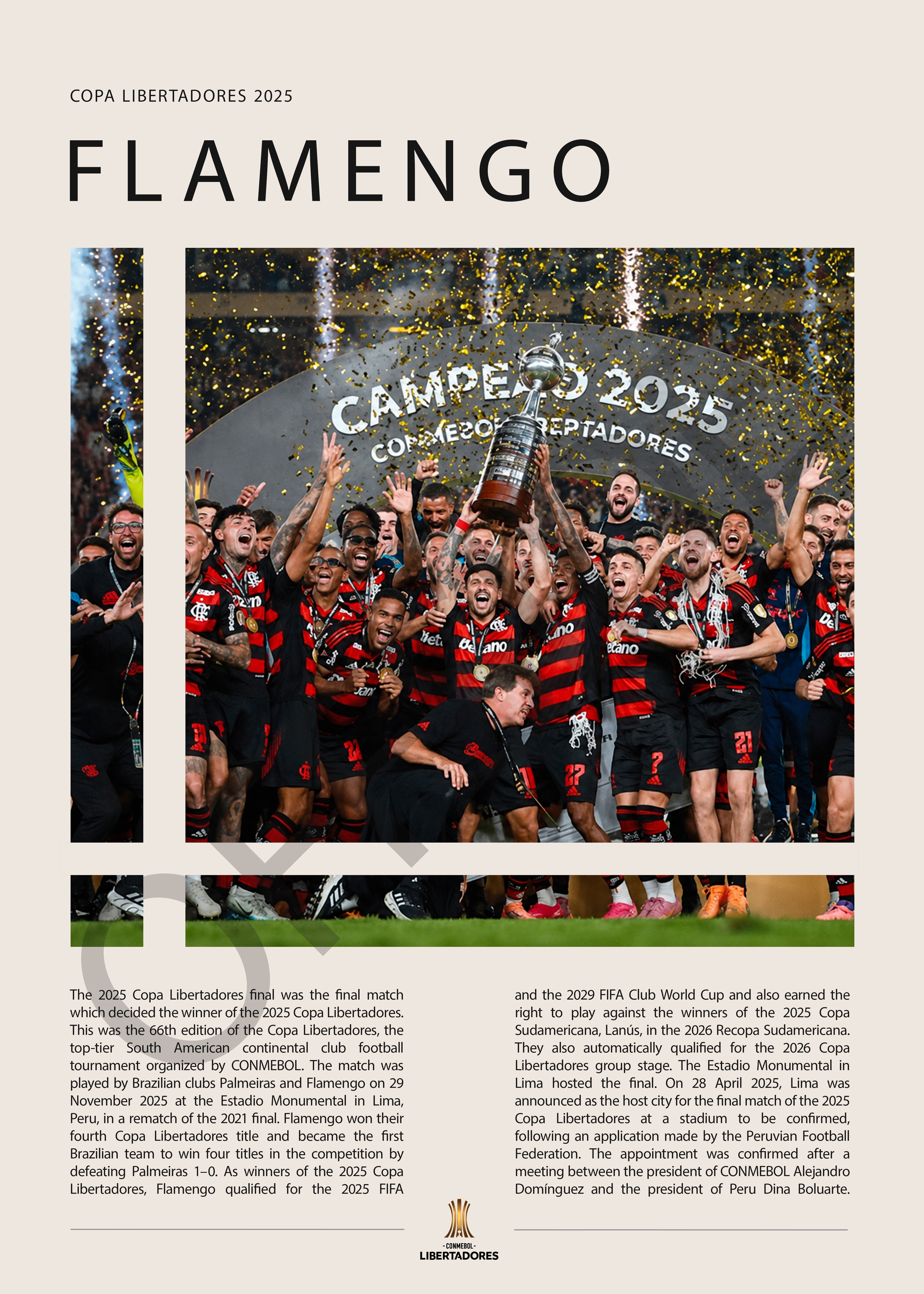 Flamengo Campeón Copa Libertadores 2025 - detalle del diseño