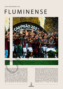 Fluminense Campeón Copa Libertadores 2023 - detalle del diseño