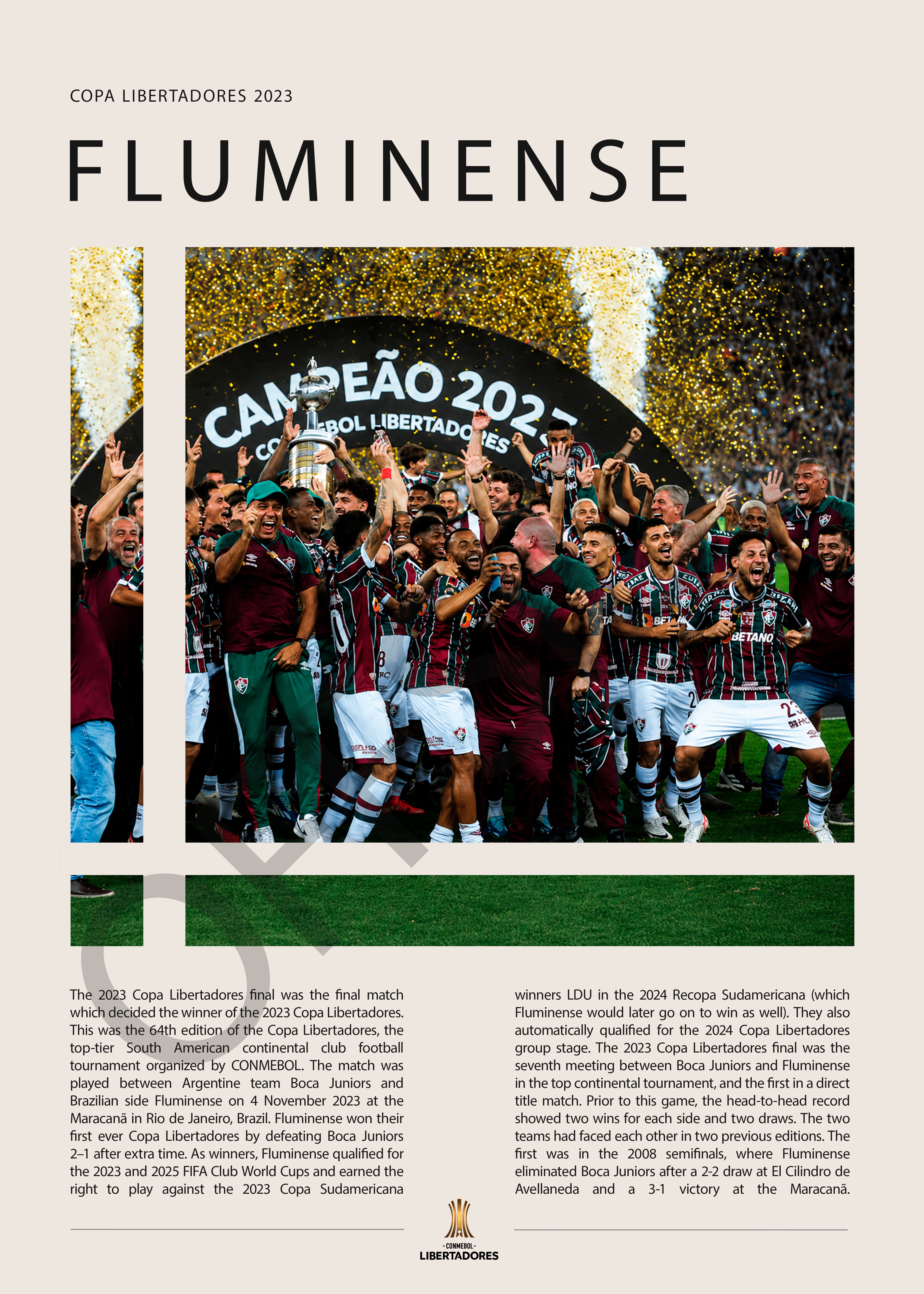 Fluminense Campeón Copa Libertadores 2023 - detalle del diseño