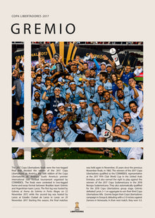 Grêmio Campeón Copa Libertadores 2017 - detalle del diseño