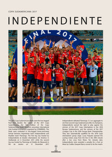 Independiente Campeón Copa Sudamericana 2017 - detalle del diseño