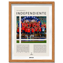 Independiente Campeón Copa Sudamericana 2017 - marco madera