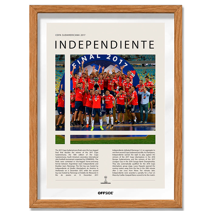 Independiente Campeón Copa Sudamericana 2017 - marco madera