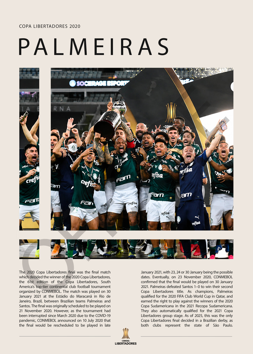 Palmeiras Campeón Copa Libertadores 2020 - detalle del diseño