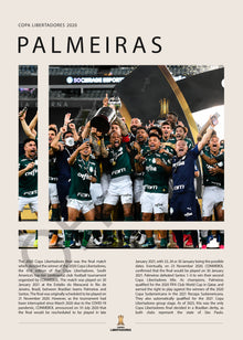 Palmeiras Campeón Copa Libertadores 2020 - detalle del diseño
