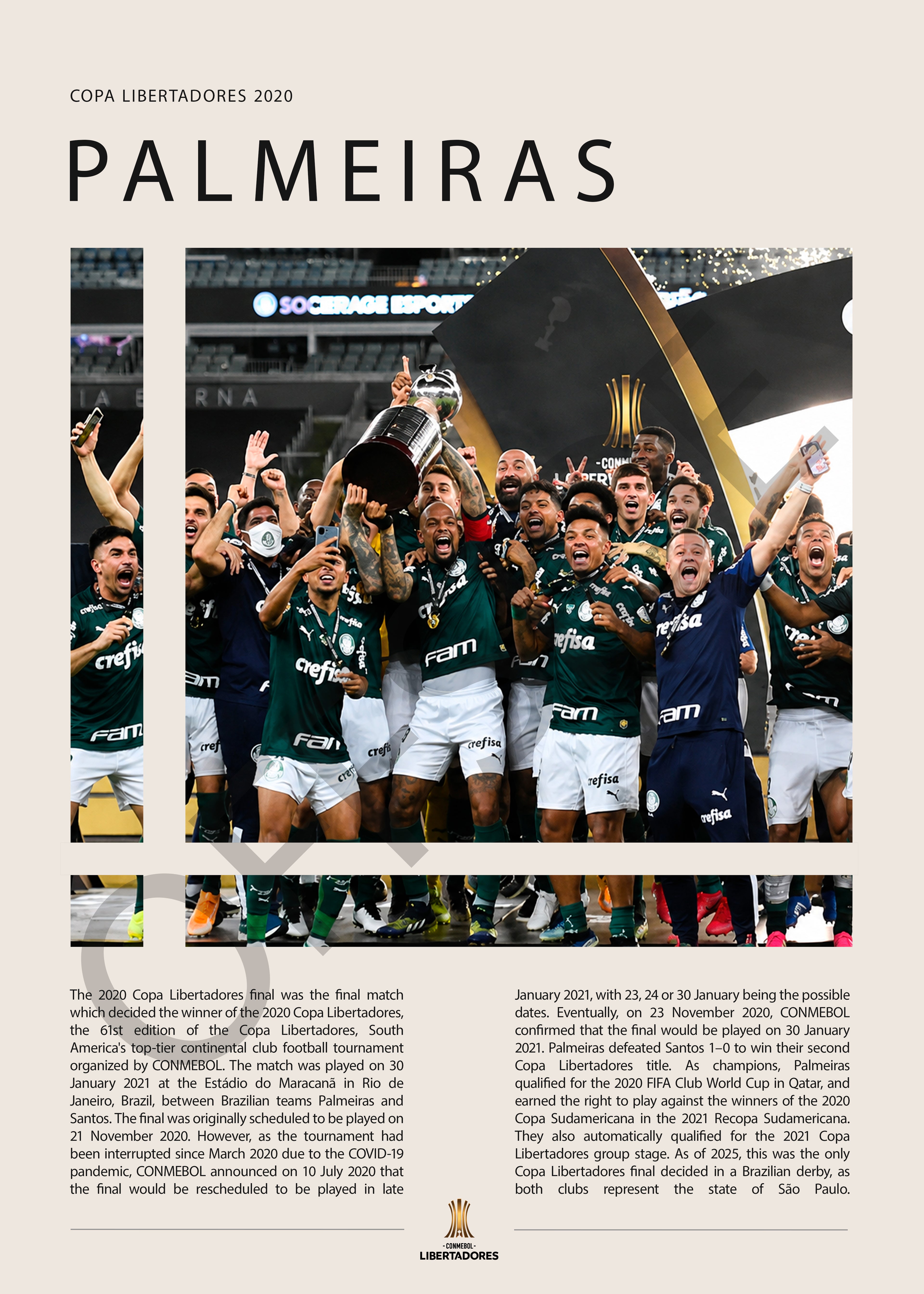 Palmeiras Campeón Copa Libertadores 2020 - detalle del diseño