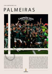 Palmeiras Campeón Copa Libertadores 2021 - detalle del diseño