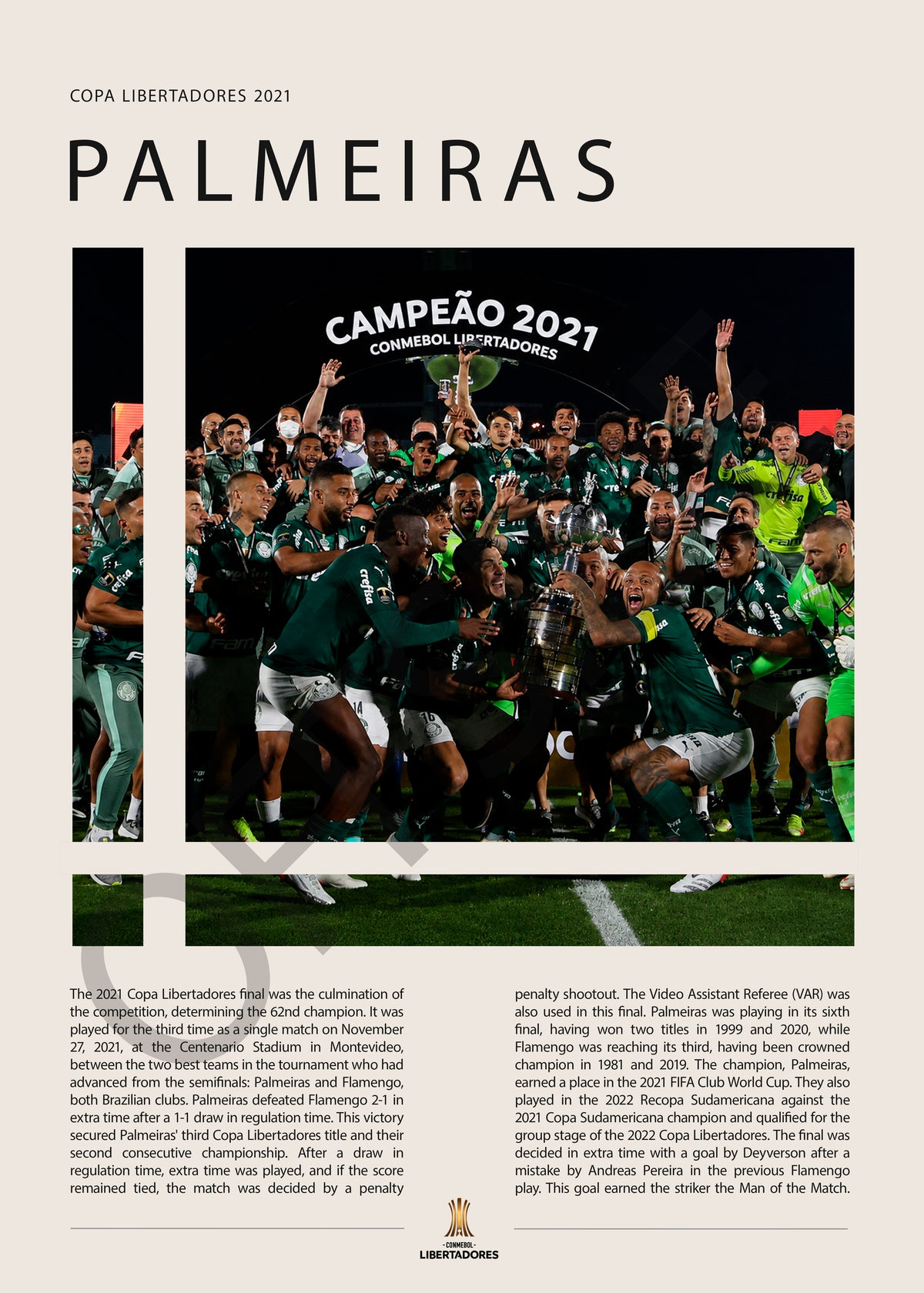Palmeiras Campeón Copa Libertadores 2021 - detalle del diseño