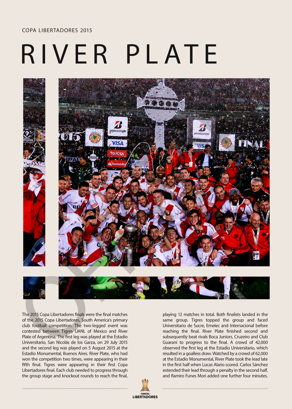 River Plate Campeón Copa Libertadores 2015 - detalle del diseño