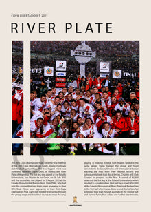 River Plate Campeón Copa Libertadores 2015 - detalle del diseño