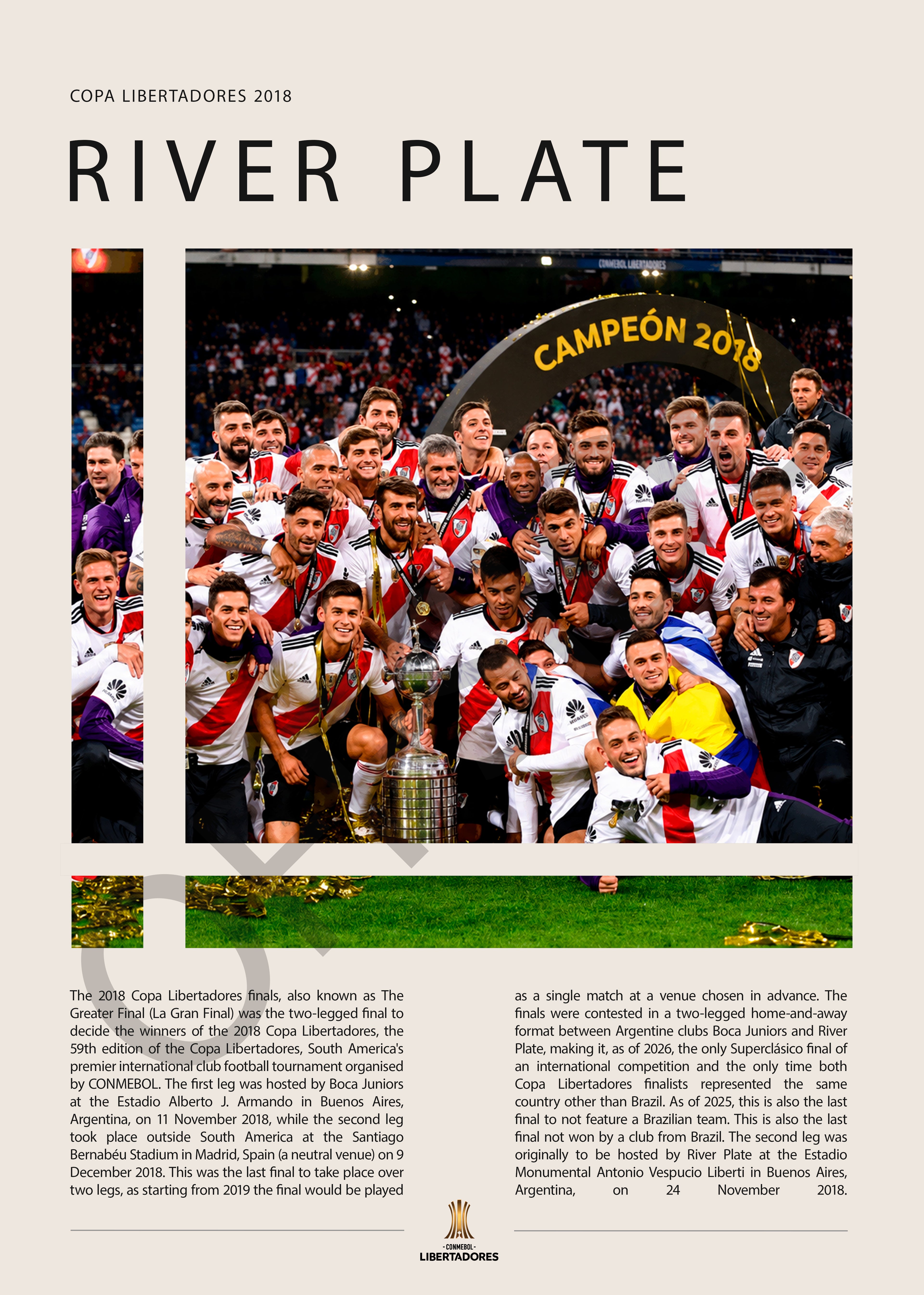 River Plate Campeón Copa Libertadores 2018 - detalle del diseño